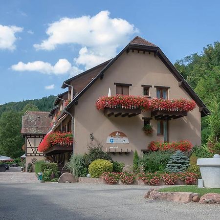 Domaine Le Moulin Hotel Ottrott Eksteriør billede